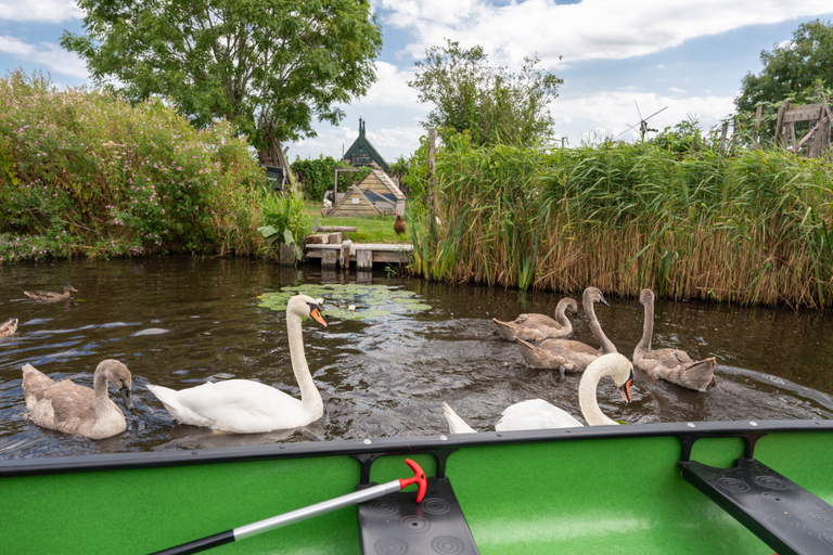 Gita guidata in canoa di 5 ore ad Amsterdam nelle zone umide