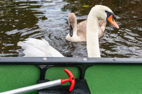 Amsterdam: 2-Hour Guided Canoe Trip