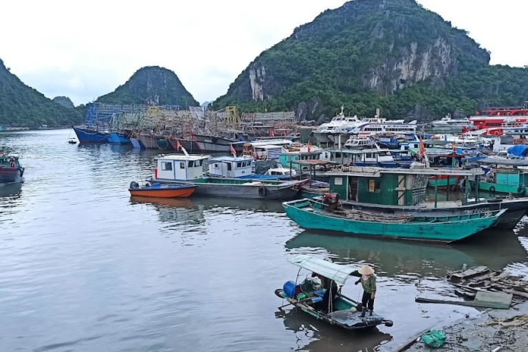 Crucero de un día no turístico por Bai Tu Long desde HanoiOpción Estándar