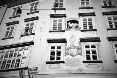 Vienne : visite guidée des fantômesTour des fantômes de Vienne
