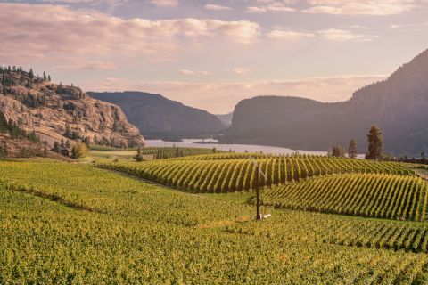 Guided Wine Tour to Penticton with Hotel Transfer