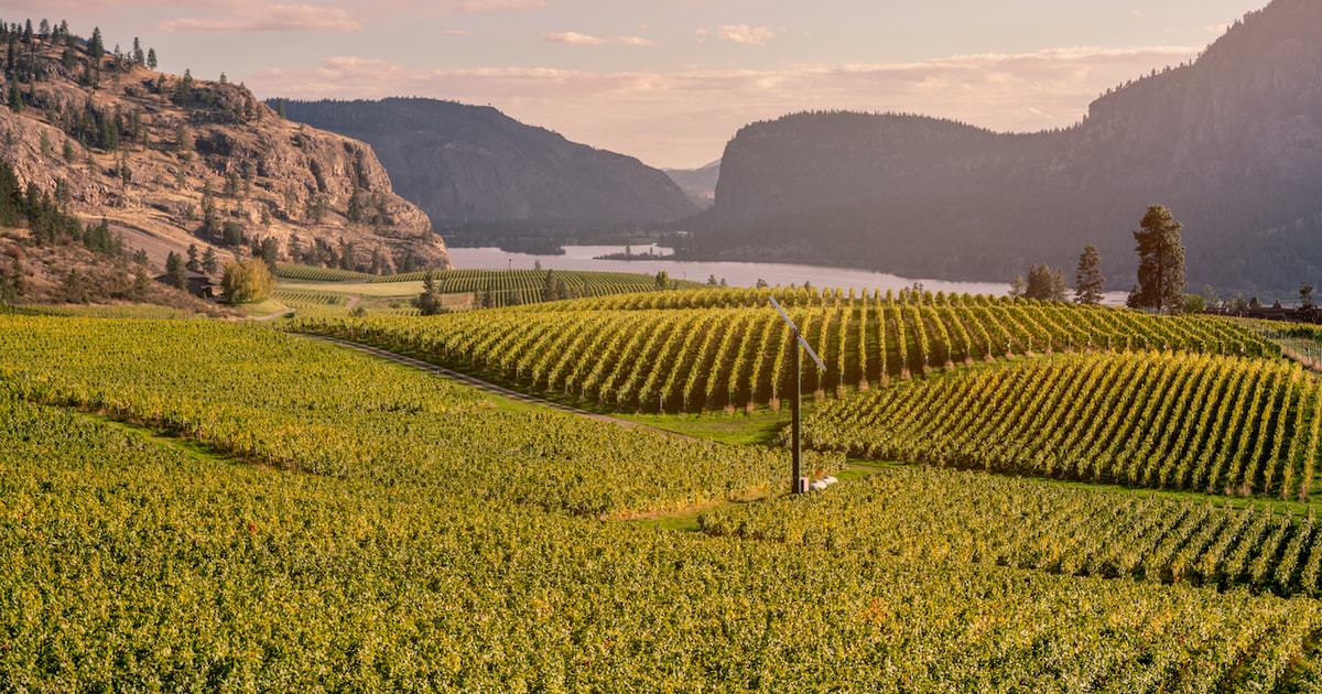 wine tour penticton