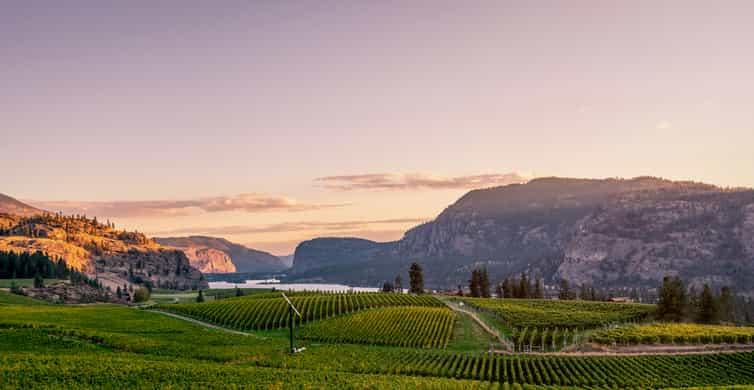 wine tour penticton