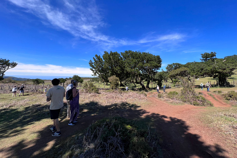 Madeira: Full-Day Jeep Tour with Guide and Pickup