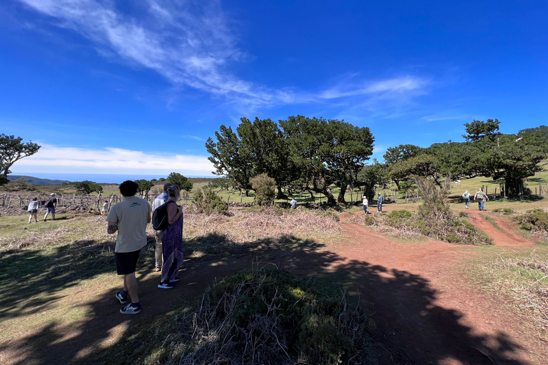 Madeira: Full-Day Jeep Tour with Guide and Pickup