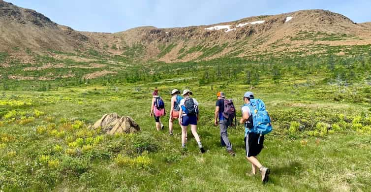 Newfoundland: Blow Me Down Mountains Half Day Hiking Tour | GetYourGuide