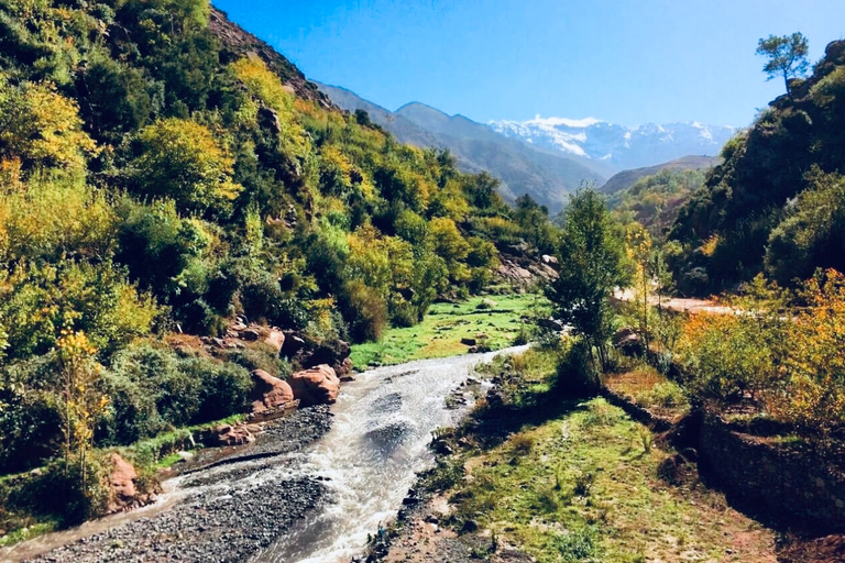 From Marrakesh: Zip-Line & Hike in the Atlas Mountains