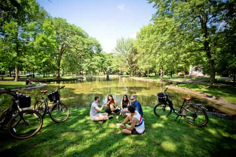 Montréal Visites à vélo le MEILLEUR de 2025 Annulation