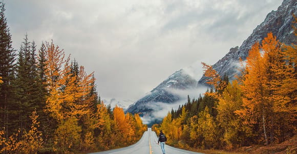 Banff: Columbia Icefield, Skywalk & Lakes Tour (Small Group)