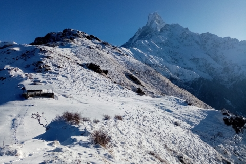 Pokhara : Camp de base du Mardi Himal 4500 mètres
