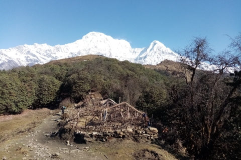 Pokhara: Mardi Himal-basiskamp 4500 meter