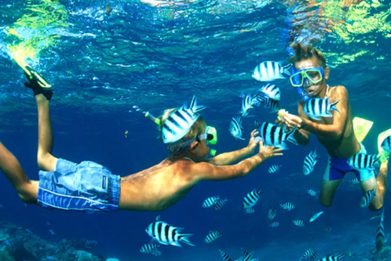 Phuket Premium 3 Khai Islands snorkel- en ontspannende tourHalve dag middag