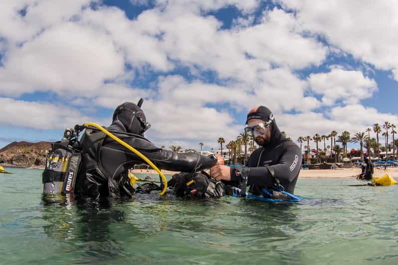 Lanzarote Beginner Scuba Diving from the Beach GetYourGuide