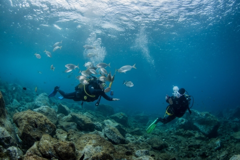 Spróbuj swoich sił w podwodnym świecie - nurkowanie wprowadzające