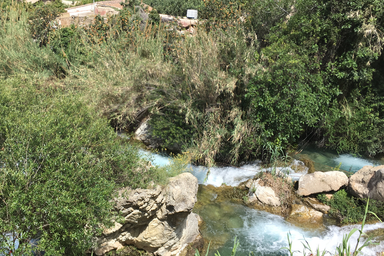 Benidorm: Buggy Jungle or Algar Waterfalls Tour Benidorm: Buggy (4 Seater) 2h Jungle Tour