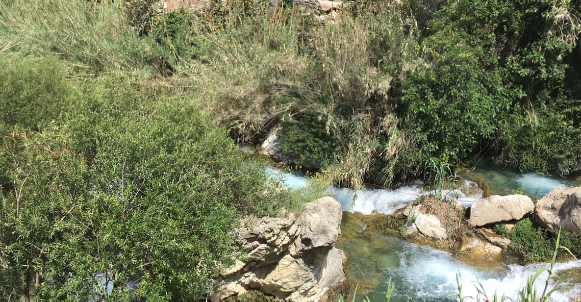 Afbeelding 10 van Benidorm: buggyjungle of Algar-watervallen