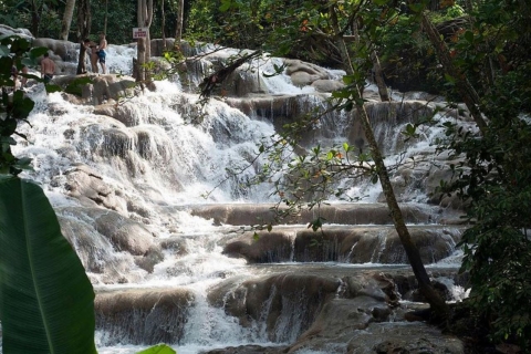 Montego Bay: Chuck Norris Secret Falls und Dunn's River Falls