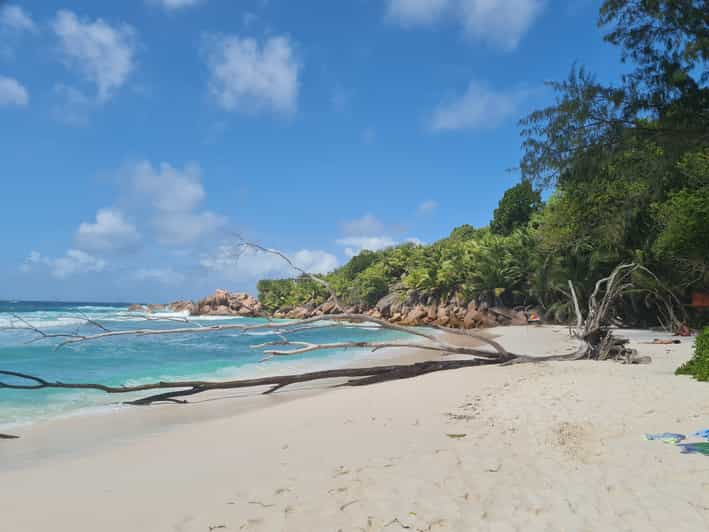 From Mahe Praslin, Curieuse, and La Digue Private Boat Tour GetYourGuide