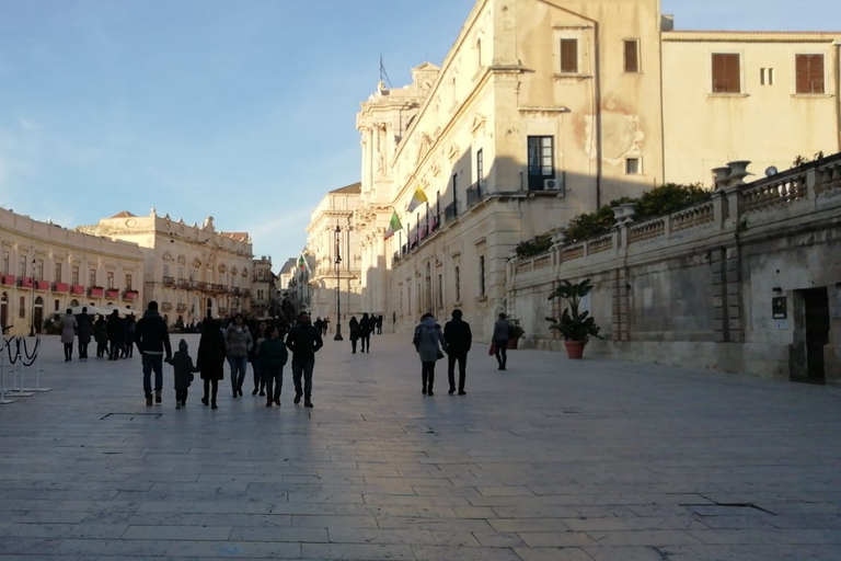 Desde Catania: tour cultural e histórico de Siracusa y Noto