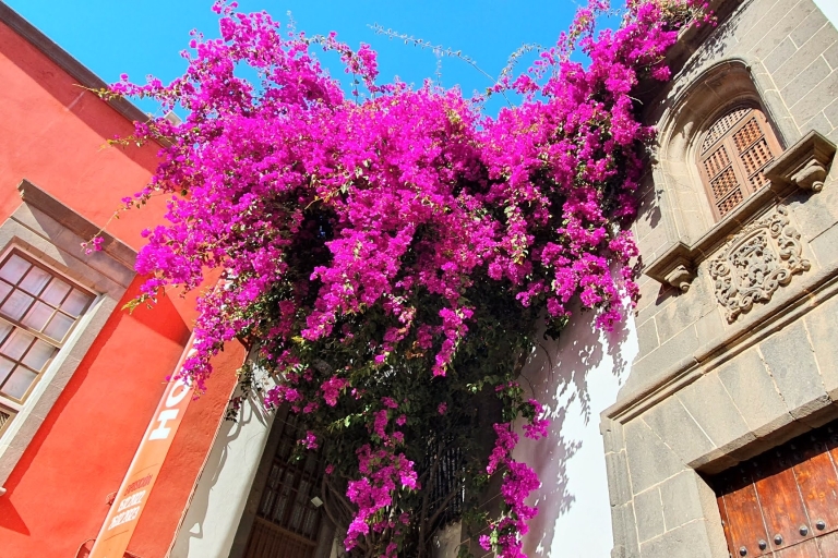 Las Palmas: Hoogtepunten van de oude stad Zelf begeleide wandeltour