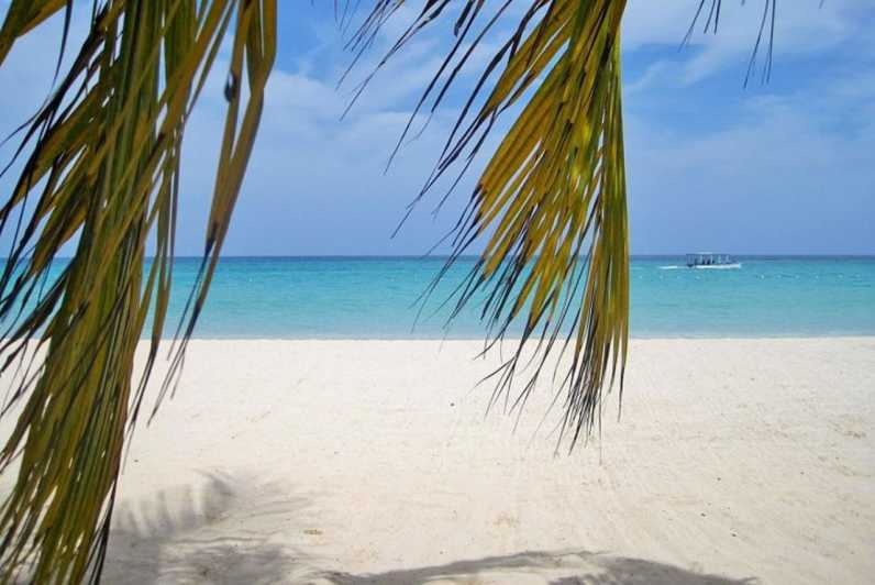 From Montego Bay: Negril Beach and Rick's Café Day Trip