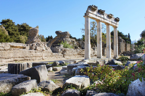 Kos : Visite de l&#039;île en bus avec dégustation de miel grec