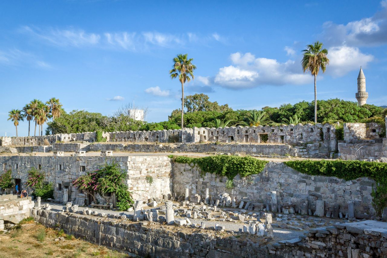 Kos: tour in autobus delle attrazioni principali dell&#039;isola con degustazione di miele greco