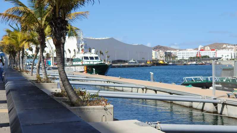 strubehoved bånd Ligner Las Palmas: Las Canteras strandpromenade - selvledende vandretur |  GetYourGuide