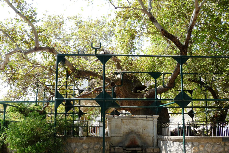 Kos: tour in autobus delle attrazioni principali dell&#039;isola con degustazione di miele greco