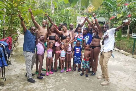 From Montego Bay: Dunn&#039;s River and Secret Falls Tour by Van