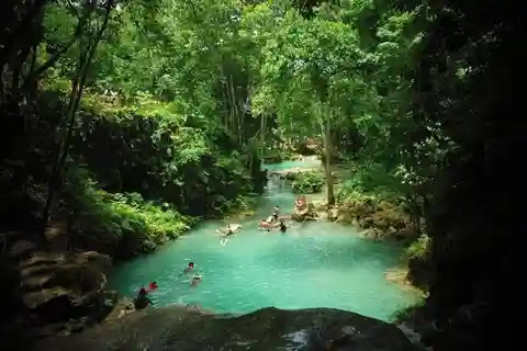 From Montego Bay: Dunn's River and Secret Falls Tour by Van