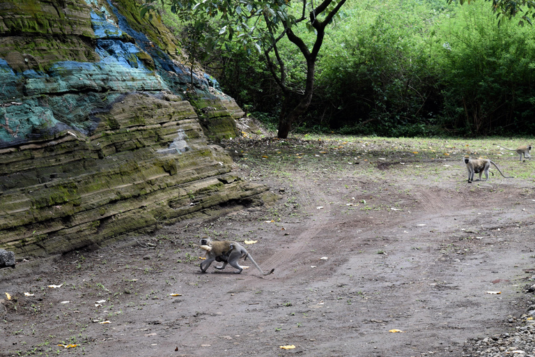 Duluti-See: Kanufahren, Naturwanderung und ExtraKajakfahren, Spaziergang in der Natur und Töpferkurs