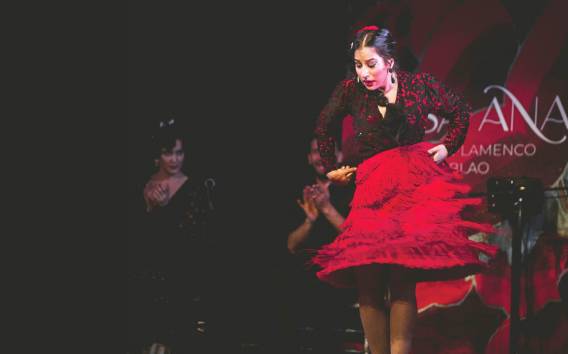 Granada: Live Flamenco Show im Casa Ana Eintrittskarte