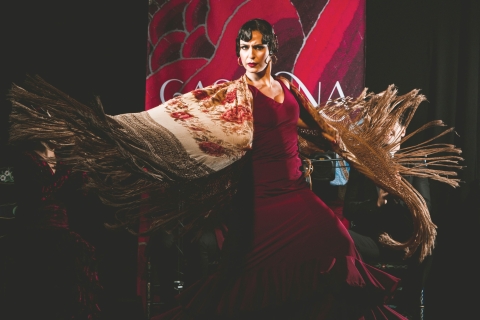 Granada: espectáculo de flamenco en vivo en la entrada de Casa Ana