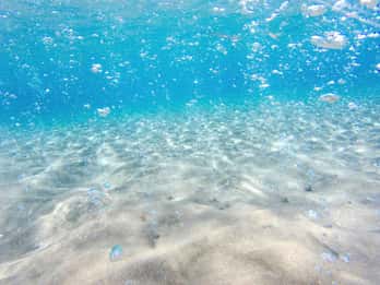 Kos: Paradise Beach Return Transfer