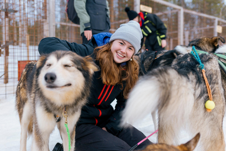 Saariselkä: Husky Safari with kennel visit