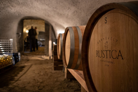 Au départ de Budapest : Visite privée de dégustation de vin à Szentendre