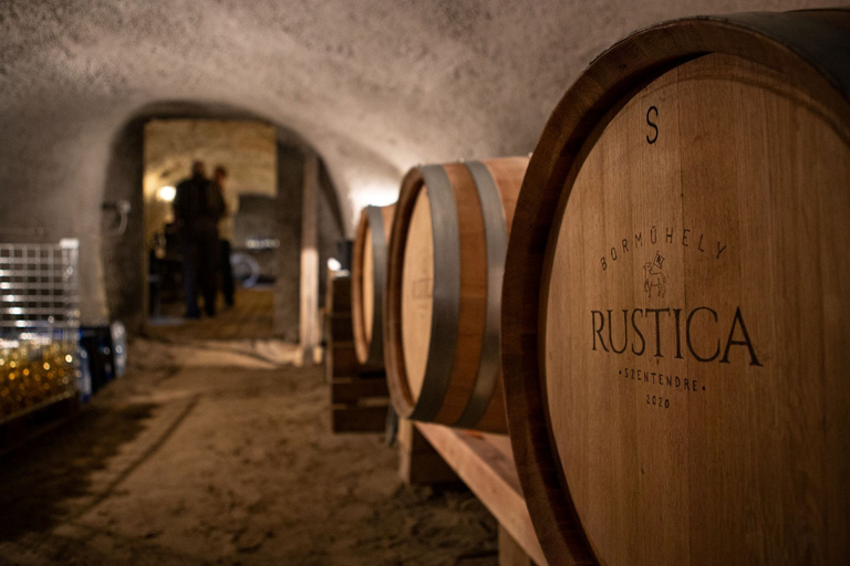 Au départ de Budapest : Visite privée de dégustation de vin à Szentendre