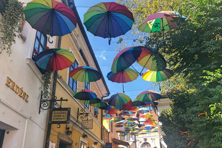 Au départ de Budapest : Visite privée de dégustation de vin à Szentendre