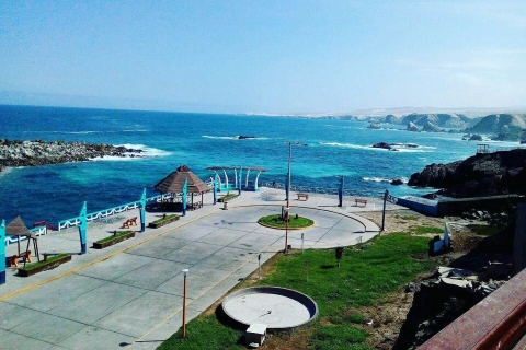 Von Arequipa nach Tacna: Südpazifik Strand Tour