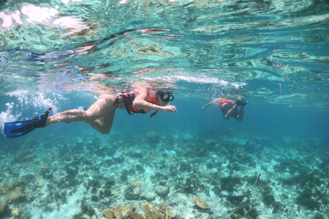 Cozumel: Clear Boat &amp; Snorkel TourCozumel: Transparent boat ride