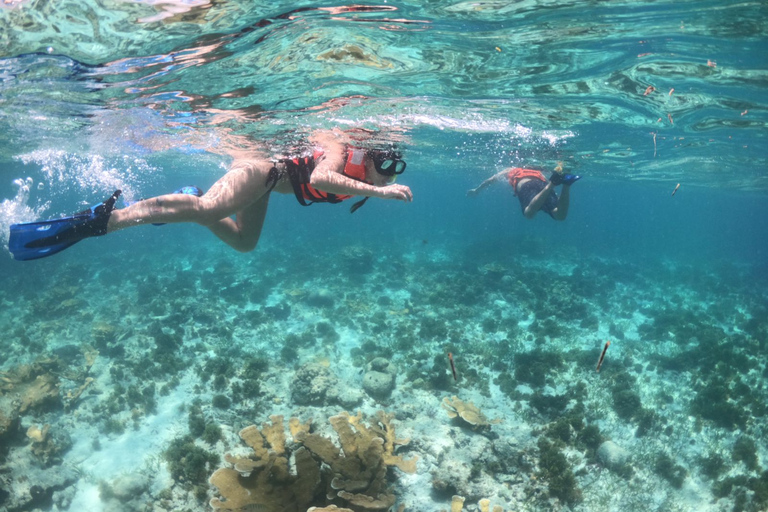 Cozumel: Passeio de barco e mergulho com snorkelCozumel: passeio de barco transparente