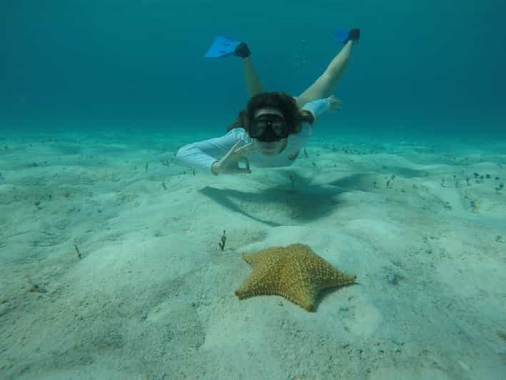 Catalina Island Beach y Snorkel desde Punta Cana GetYourGuide