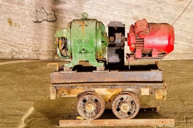 Bucarest : Excursion d'une journée à la mine de sel de Slanic et dans les Carpates