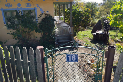 Bucarest : Excursion d'une journée à la mine de sel de Slanic et dans les Carpates