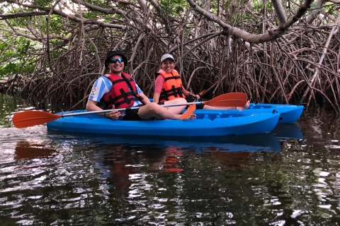Exploring Cancun: Guided kayak tour through the Mangroves Sunset Tour: Guided kayak tour through the Mangroves