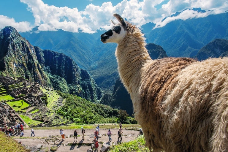 Depuis Cusco : Tour Valle Sagrado y Camino Inca corto 4D/3N