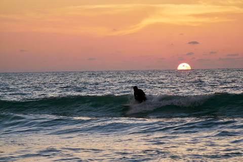 Plage de Bang Tao : Leçons de surf en groupe ou privéesLeçon privée d'un jour