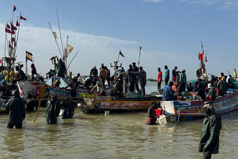 M'bour: Full-day immersion at the fishing harbor and arrival of the canoes