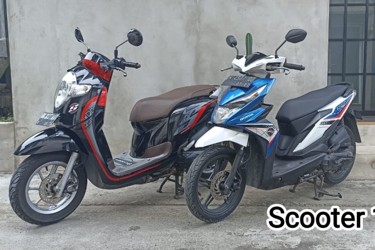 Bali: 2-7 Tage 110cc oder Nmax 155cc Scooter mieten7-Tage Nmax 155cc-Miete mit Lieferung in Zone A
